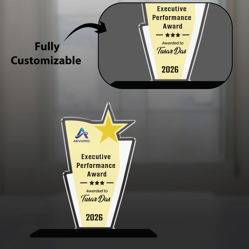 Executive Performance Award Personalized Acrylic Award Trophy Custom with Name  Achievement Award for Employee, Corporate Recognition Thankyou Gift for Employee